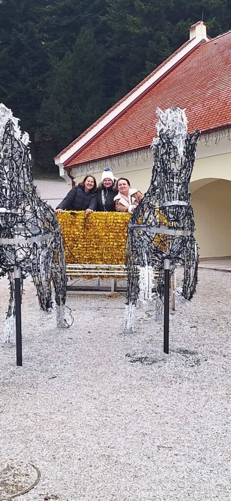 597617300 1194757659422171 7306749937851554183 n