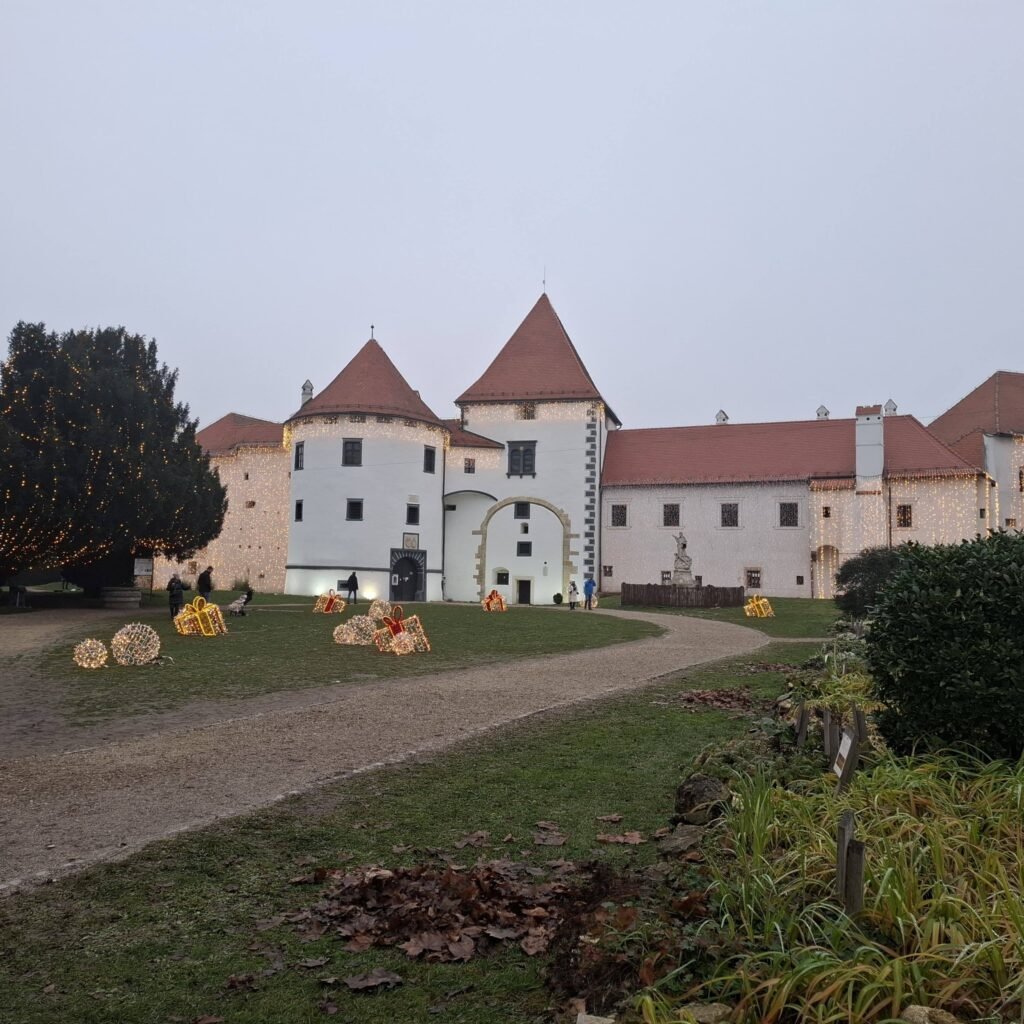 598629194 1194757549422182 2569582528503004589 n